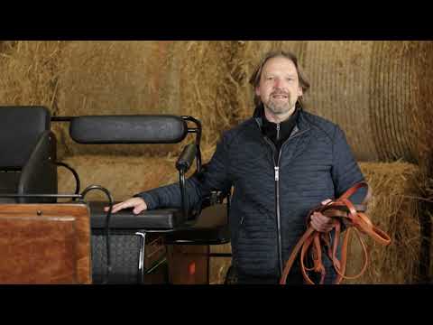 2021.01.03 - Wer die Zügel hält (Pastor Bastian Meyer)