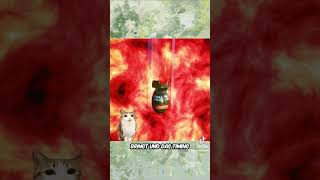 Cover art for Meowl German