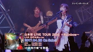 「山本彩 LIVE TOUR 2016 ～Rainbow～」 [DVD&Blu-ray]