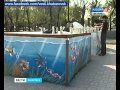 Вести-Хабаровск. Граффити на службе города 
