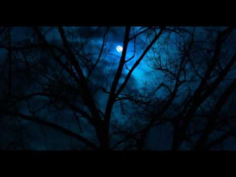 The Succubus Club - David Fury & Tim Minear Interview