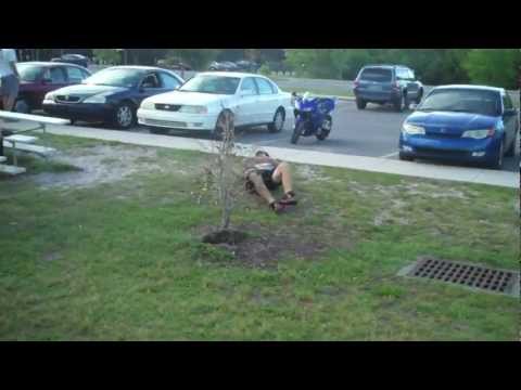 Brodie Smith Uproots A Tree