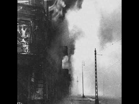 Hermann Kopp - Der Himmel hängt voller Violinen