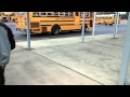 Bus 30 Leaving Woodland In The Afternoon