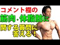 コメント欄の筋肉・体脂肪に関する質問に答える!お腹ぽっこり?ラーメン?チョコ?体脂肪率?
