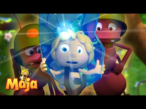 Eine große Bedrohung! - Die Biene Maja🐝🍯🐝 - FULL COMPILATION
