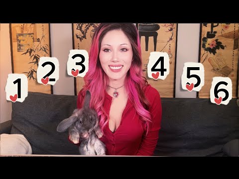 YES or NO to ANY Question on your mind (& WHY) Pick A Card Tarot Reading 🃏