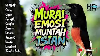Download lagu PANCING MURAI EMOSI NEMBAK ISIAN | MASTERAN PENYUSUN LAGU!! mp3 Download lagu PANCING MURAI EMOSI NEMBAK ISIAN | MASTERAN PENYUSUN LAGU!! mp3