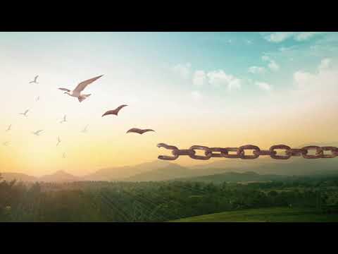 Kardinal Official ft. JRDN - Freedom (DeeJay Lex Bootleg Remix)