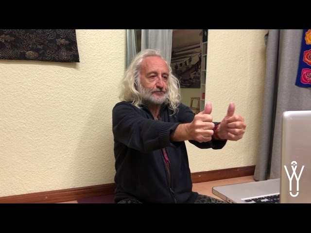 Vídeo 3