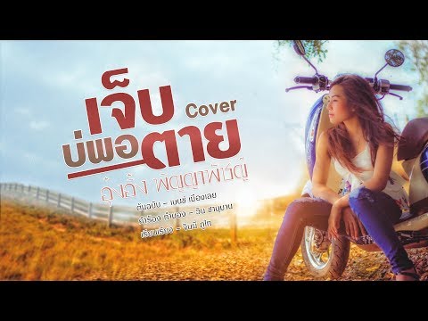เจ็บบ่พอตาย -  อุ๋งอิ๋ง ภิญญาพัชญ์ 【COVER】