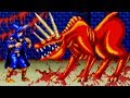 Magician Lord Arcade All Bosses No Damage
