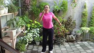 Download lagu Senam Dj Cinta Segitiga - Bagus Wirata (Di Saat Beli Benar-Benar Sayang mp3