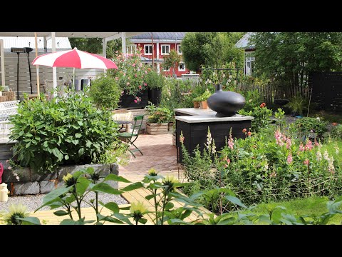 Tips vid utplantering av Jätteverbena