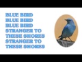 Blue Bird by 10cc