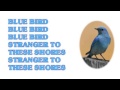 10cc - Blue Bird 