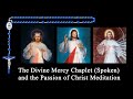 The Divine Mercy Chaplet Spoken With The Passion Of Christ Meditation In 4K