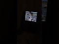 Sesame Street Kermit The Frog The Movie Director