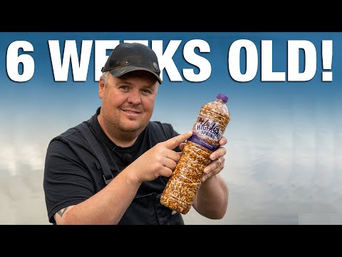 Save Casters For SIX WEEKS!