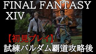 【FF14】初心者の初見まったりライブ配信プレイ＃78