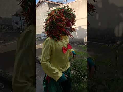 a carreta da alegria em rianápolis GO
