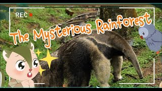 Earth Science | Facts About the Amazon Rainforests | Science Videos for Kids