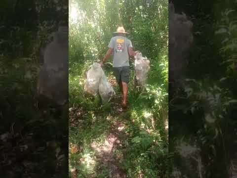 dificuldade que encontramos para retirar o lixo da cachoeira Chopinzinho PR 02/26