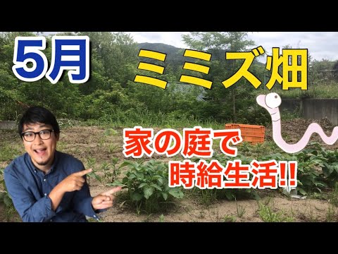 菜園にミミズが！ミミズは庭師の友達なので、パニックにならないでください。なぜ彼らを庭に引き寄せるのでしょうか？  庭園