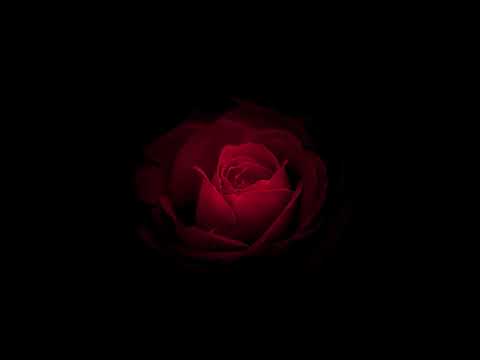 BLVCK CEILING - the Cure + frxxmasons - my greed bc rmx