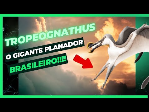 Tropeognathus mesembrinus O Gigante Voador brasileiro do Cretáceo