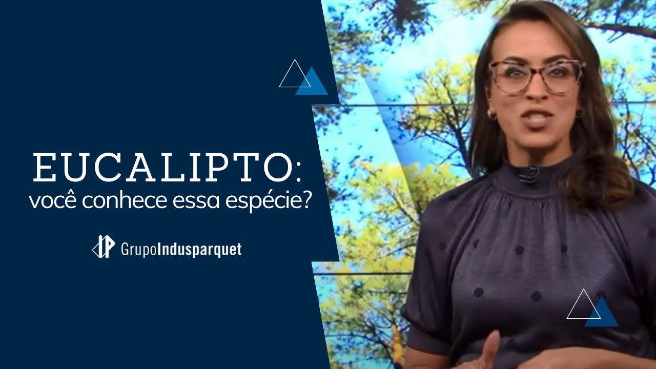 Eucalipto, você conhece essa espécie? | Grupo Indusparquet