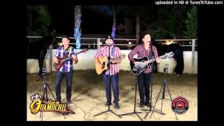 Millas y Millas, Eres Mala - Los De Guamuchil EN VIVO (con Tuba)