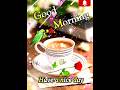 Good Morning गुड मॉर्निंग Video Shorts Viralshorts Goodmorning Shortvideo Shor