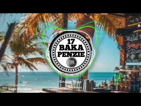 Gnana Nigo || Junz x Sad Remix 2025 ||