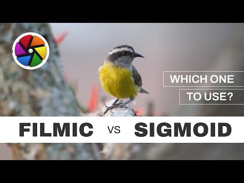 Darkable: Filmic vs Sigmoid (Advantages of Each)