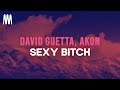 David Guetta Feat Akon Sexy B Itch Lyrics