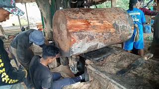 Download lagu DETIK-DETIK...!! TERLEPAS NYA GERGAJI SELENDANG (SAWMIL) mp3 Download lagu DETIK-DETIK...!! TERLEPAS NYA GERGAJI SELENDANG (SAWMIL) mp3