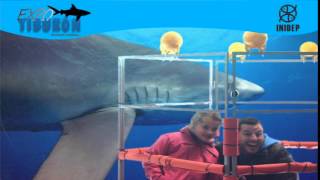 DIA 2 Expo Tiburon233