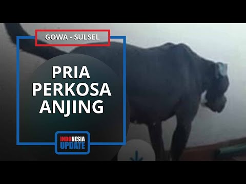 Kronologi Pria Ngaku Perkosa Anjing setelah Terpengaruh Video Porno, Foto-fotonya Turut Dibagikan