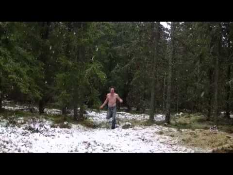 JulGranen en vacker historia