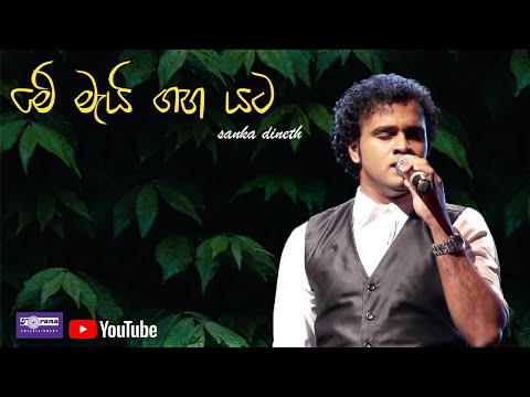 Me Mai Gaha Yata - මේ මැයි ගහ යට By Sanka Dineth
