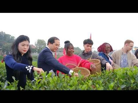 Video nổi bật Festival Trà