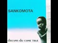Sankomota - Now or Never
