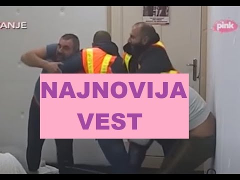 UŽAS - DISKVALIFIKOVANI Zadrugar UHAPŠENN na Novom Beogradu #zadruga #zadrugainfo