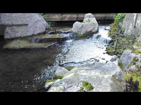 Doro 8035 video samples #Doro #Doro8035