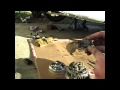 How to replace a voltage regulator in an alternator