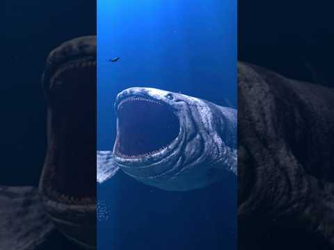 The Bloop Orignal Sound🔊💀😱|Bloop sea monster #giant #scary #deepseacreatures