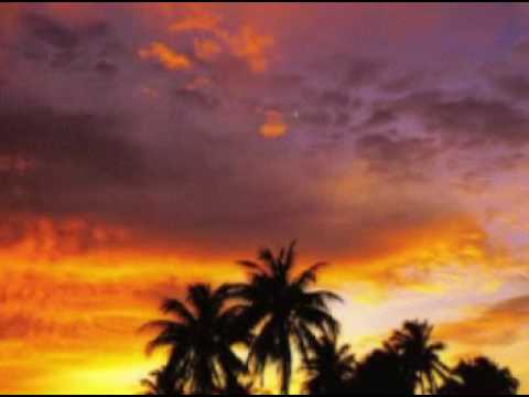 Terry Linen- Bet You Didn't Know