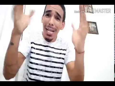 8 Swingueiras antigas da Bahia no CAVACO