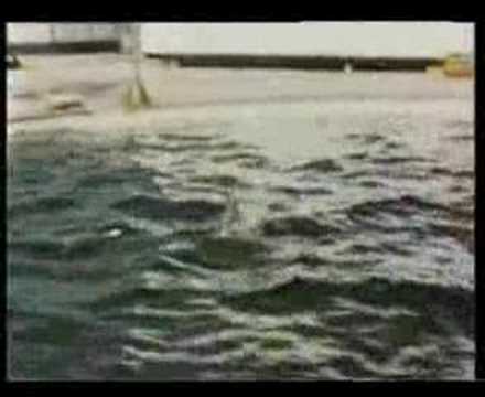 -Time Backward and Forward - Analytic Techno- ( Phil Moon aka V)